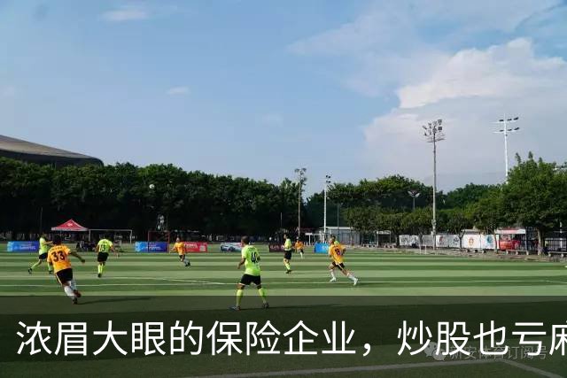 浓眉大眼的保险企业，炒股也亏麻了
